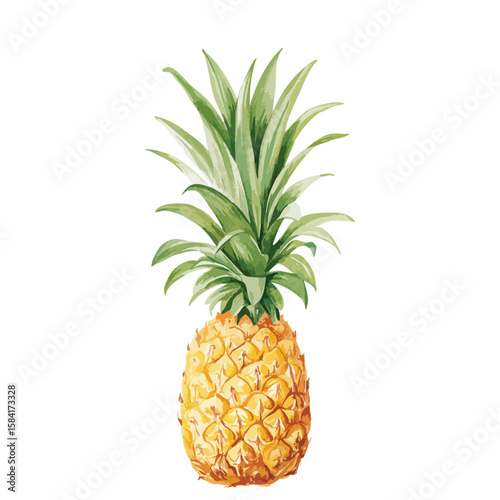 Pineapple isolated on white