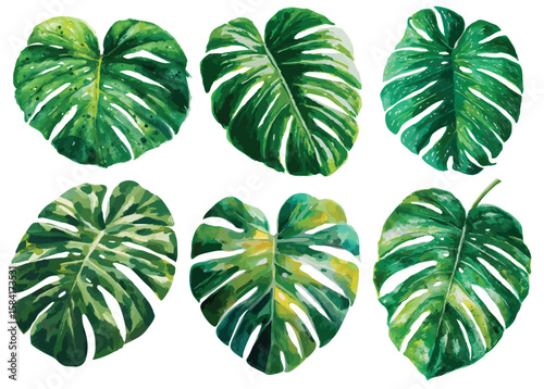 Collection of green leaves. watercolor illustration, isolated on white background