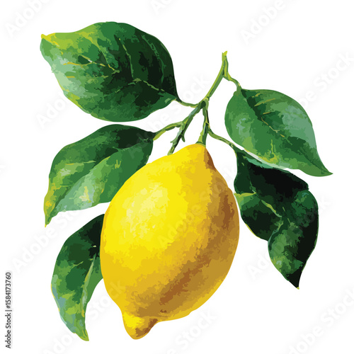 lemon on branch watercolor illustration 