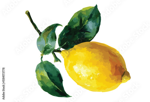 Ripe lemon watercolor illustration isolated on white background