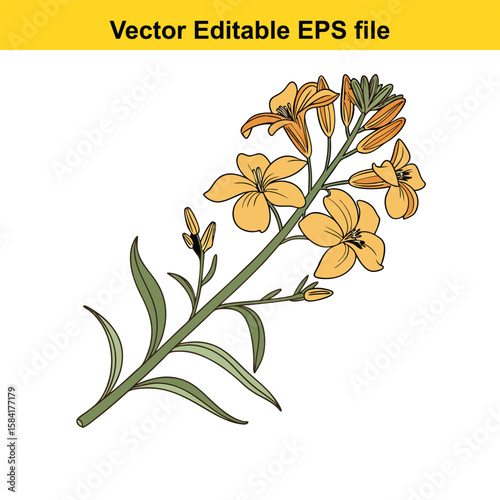 Yellow flowers with green leaves on a stem, isolated on white