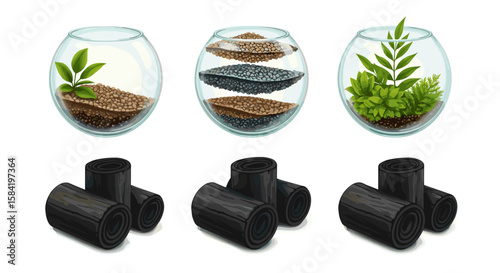 Illustration of three terrariums with layered soil and plants alongside rolled charcoal filters