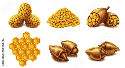 A collection of corn cobs, a pile of seeds, seed pods, honeycomb and shelled seeds displayed nicely