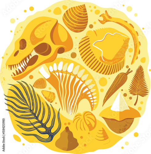 Fossil collection in yellow tones