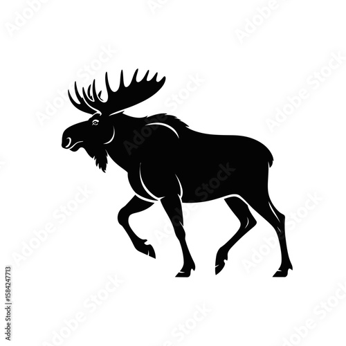 Silhouette of a majestic bull moose walking isolated on white background