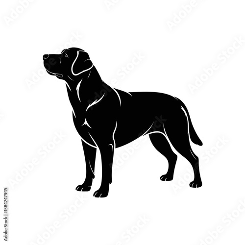 Black labrador retriever standing profile silhouette isolated on white background