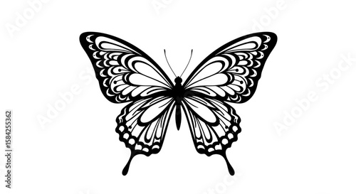 Elegant butterfly illustration with intricate wing patterns in black and white
