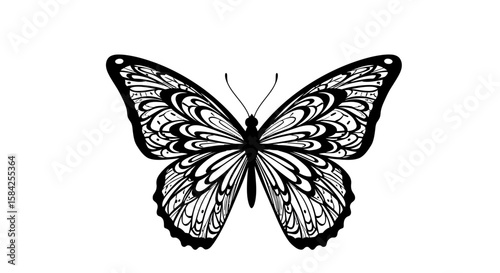 Elegant monochrome butterfly illustration with intricate wing patterns on white