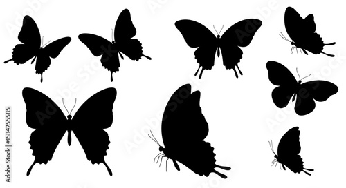 Elegant butterfly silhouettes on a white background for design and decoration