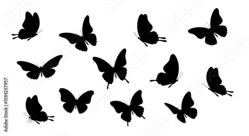 Elegant silhouettes of butterflies in flight creating a harmonious monochrome pattern