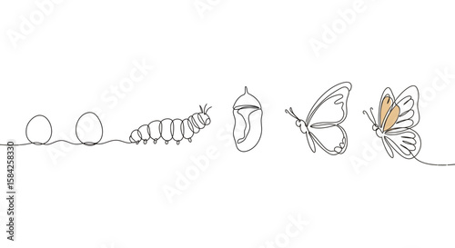 Simple one line drawing illustrating the lifecycle of a butterfly metamorphosis