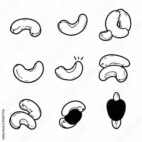 Black and white line art illustration set of various cashew nuts, depicting whole, shelled, and processing stages, isolated on white background.