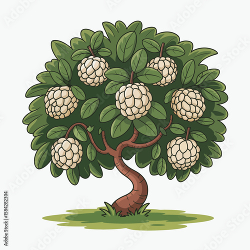 Cartoon custard apple tree illustration with green leaves and ripe fruit on a white background