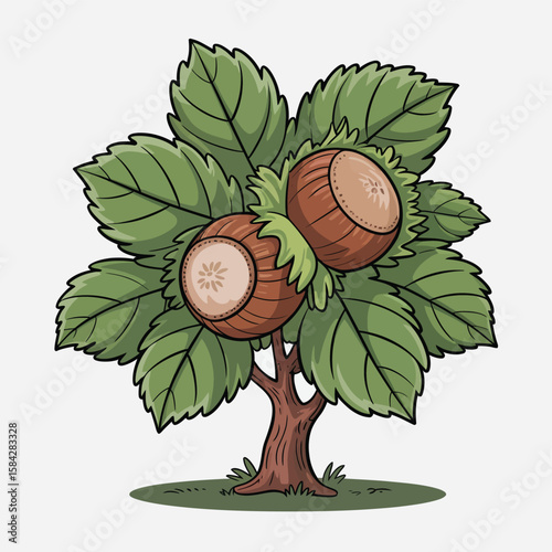 Cartoon Hazelnut Tree Illustration with Brown Nuts Green Leaves and Trunk on White