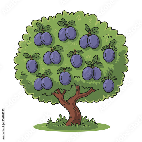 Cartoon illustration of a plum tree with ripe purple plums and green leaves on a white background