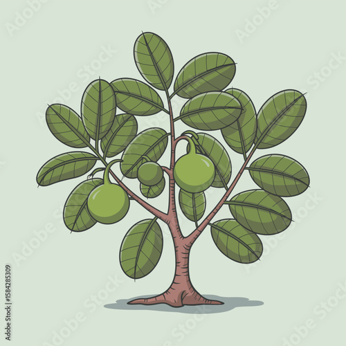 Cartoon Indian Bael Tree Illustration with Green Leaves and Fruit