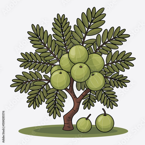 Cartoon Indian gooseberry amla tree illustration with green fruit and leaves