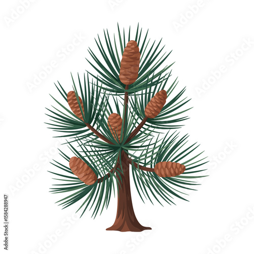 Cartoon pine nut tree illustration with green needles and brown pine cones