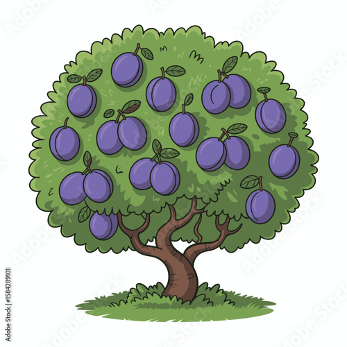 Cartoon plum tree illustration with purple plums green leaves and grass on a white background
