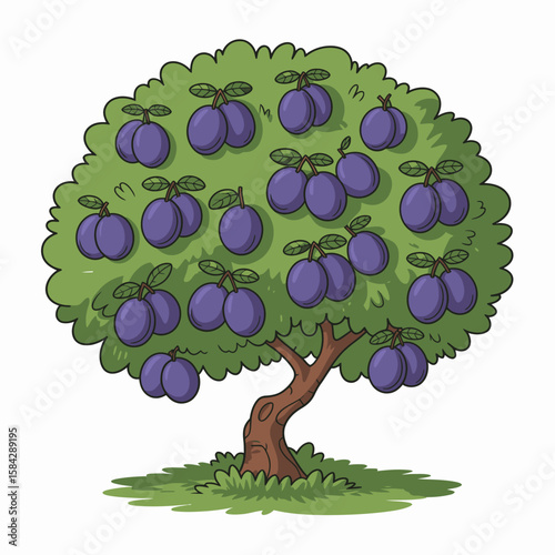 Cartoon plum tree illustration with purple plums green leaves brown trunk and grass
