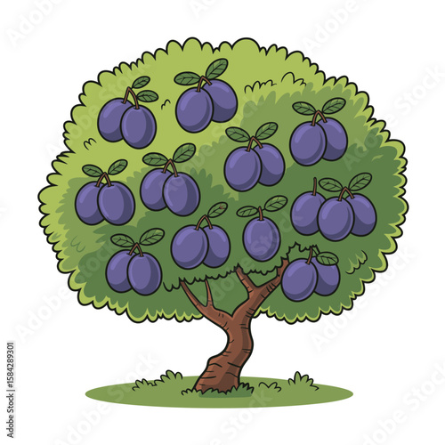 Cartoon plum tree illustration with ripe purple plums and green foliage on a white background