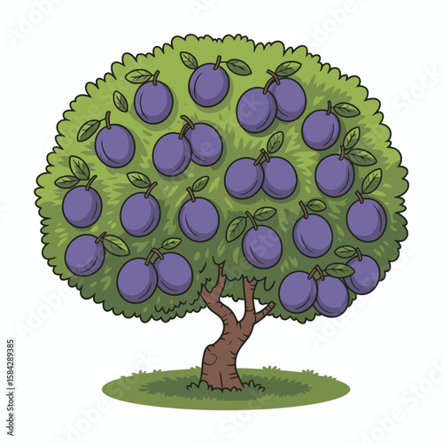 Cartoon plum tree illustration with round purple plums and green foliage on a white background