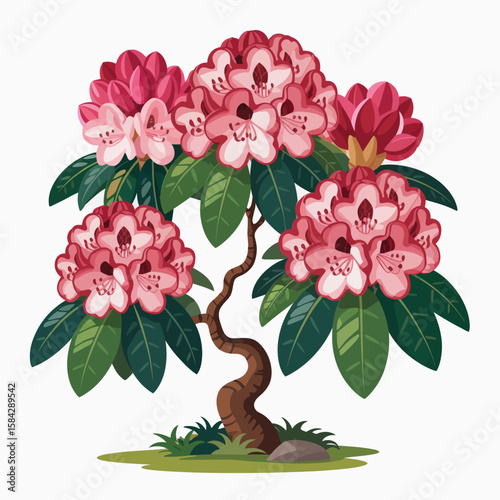 Cartoon rhododendron tree with pink and red flowers green leaves and brown trunk on white
