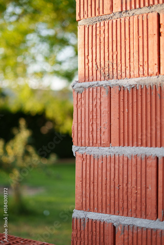 Close-up of red clay bricks with visible mortar lines, standing against a blurred green garden in a sustainable home build.