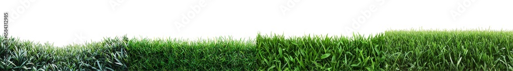 Fototapeta premium Lush Green Grass Landscape with Vibrant Texture and Natural Elements in Sunlight