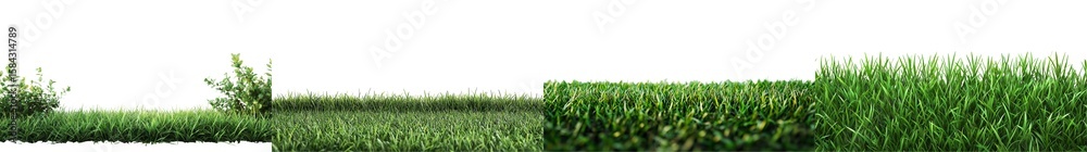 Fototapeta premium Lush Green Grass Landscape with Vibrant Plants Under Clear Blue Sky During Daytime