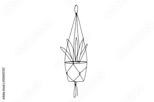 Minimalist macrame plant hanger with indoor plant in modern design  