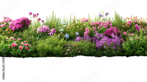 Vibrant Green Grass with Delicate Flowering Stems in a Beautiful Garden Landscape