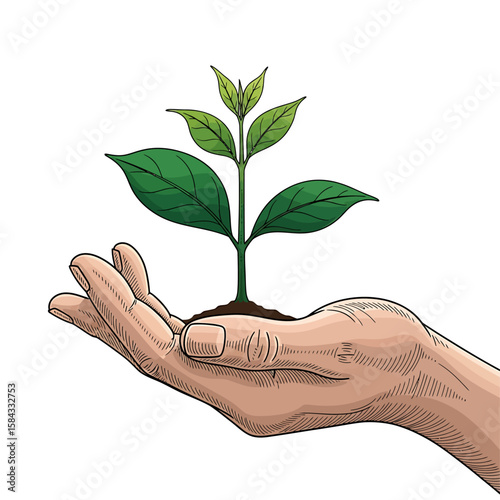 A hand carefully holds a growing plant, symbolizing growth and nurture.