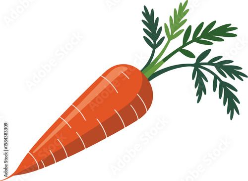 A close-up studio shot of a single, vibrant carrot, fresh and ready to eat. The carrot has a bright orange color and green leafy top.