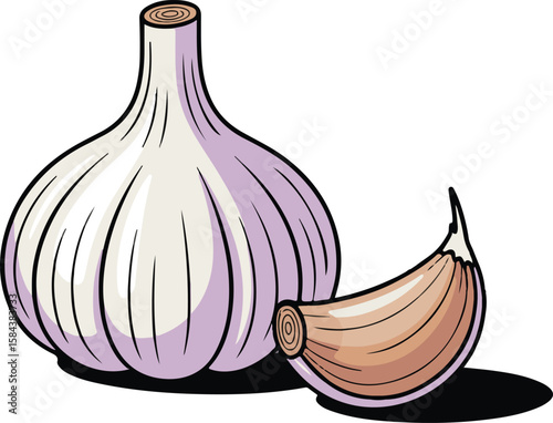 Fresh garlic bulb and clove in a culinary setting, the perfect ingredient for delicious and aromatic dishes. The garlic bulb is white and the clove is brown.