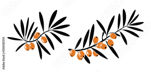 Stylized illustration of two sea buckthorn branches with orange berries and black leaves