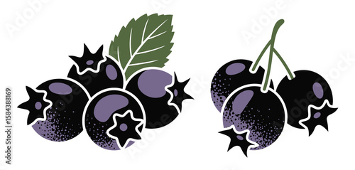 Stylized illustration of ripe blueberries with a green leaf and stems on a white background