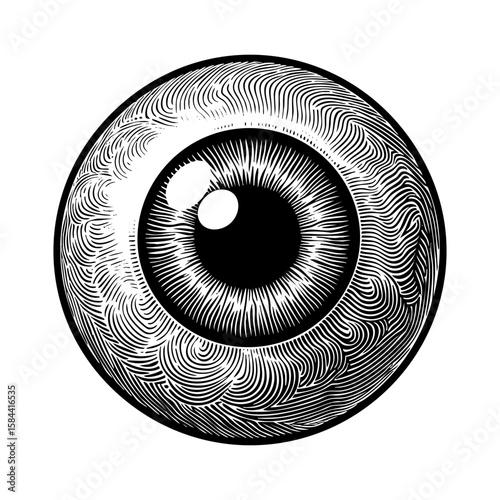 Human eyeball engraving black and white outline. Scratch board imitation.  illustrated in vintage line art style on a white background.
