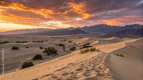 Sunset over Desert Dunes La...