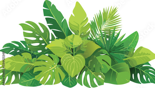 lush green tropical plants bush, fresh cluster of leaves isolated on transparent white background. cutout png.leaf, clip, lush, transparent, vibrant, cut-out, foliage, palm, broad, herb, isolated, 