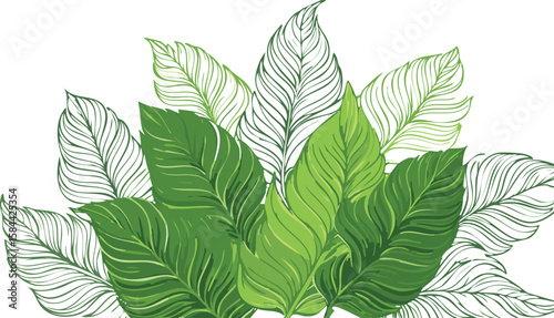 lush green tropical plants bush, fresh cluster of leaves isolated on transparent white background. cutout png.leaf, clip, lush, transparent, vibrant, cut-out, foliage, palm, broad, herb, isolated, 