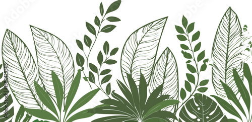 lush green tropical plants bush, fresh cluster of leaves isolated on transparent white background. cutout png.leaf, clip, lush, transparent, vibrant, cut-out, foliage, palm, broad, herb, isolated, 