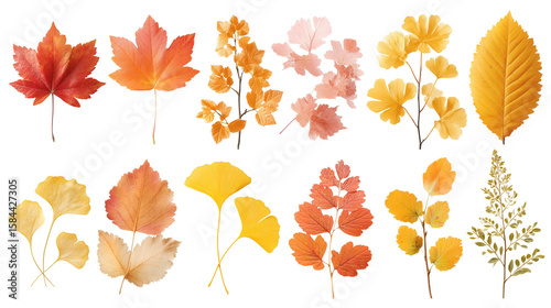  Abstract Autumn Background with Warm Tones(暖色系の抽象的な秋の背景)