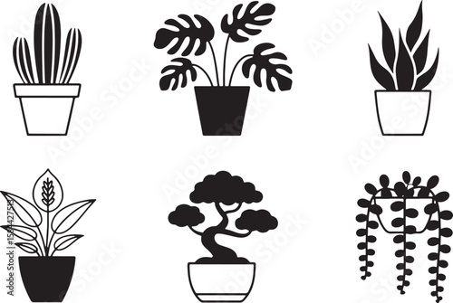 Potted plants collection with various leaf shapes and growth styles indoor plants houseplants