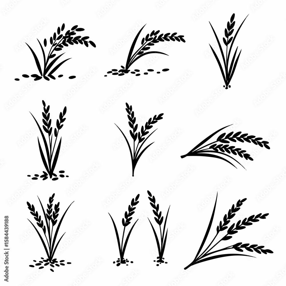 Obraz premium Stylized Black Silhouettes of Rice Plants and Grains, perfect for agricultural and food-related designs, featuring various forms of this essential crop.