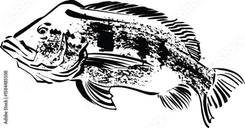 vector sketch of the Asian fish