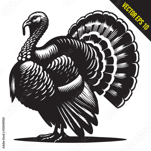Stylized Black and White Turkey Silhouette Vector Illustration, turkey birds illustration