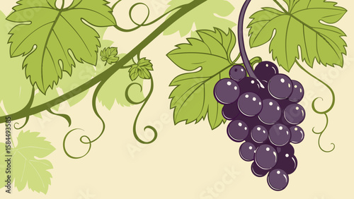 Illustration of a bunch of purple grapes hanging from a vine with green leaves and swirls design