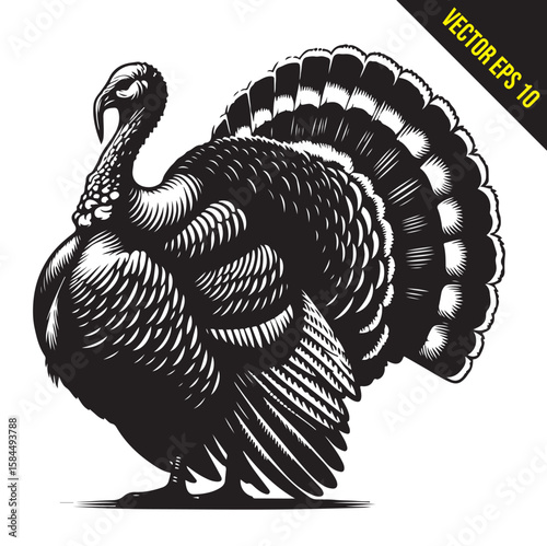Stylized Black and White Turkey Silhouette Vector Illustration, turkey birds illustration
