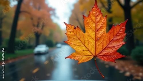 Rain-soaked autumn leaf clinging to car windshield, texture, leaf, autumn